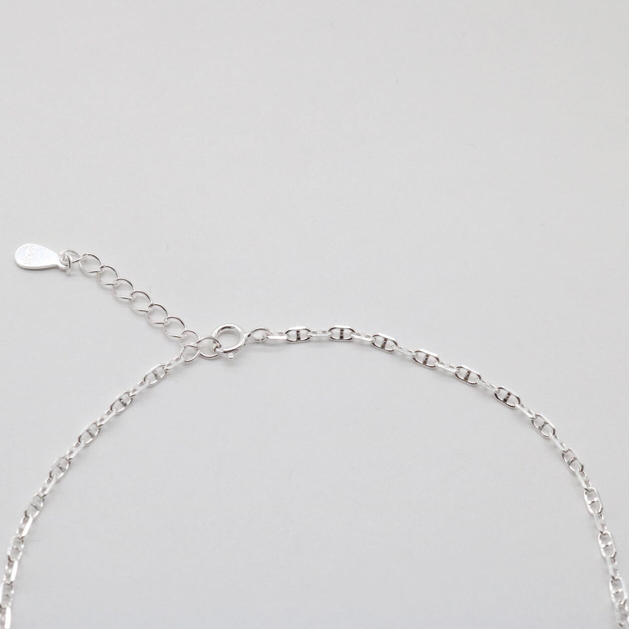 Horse anklet