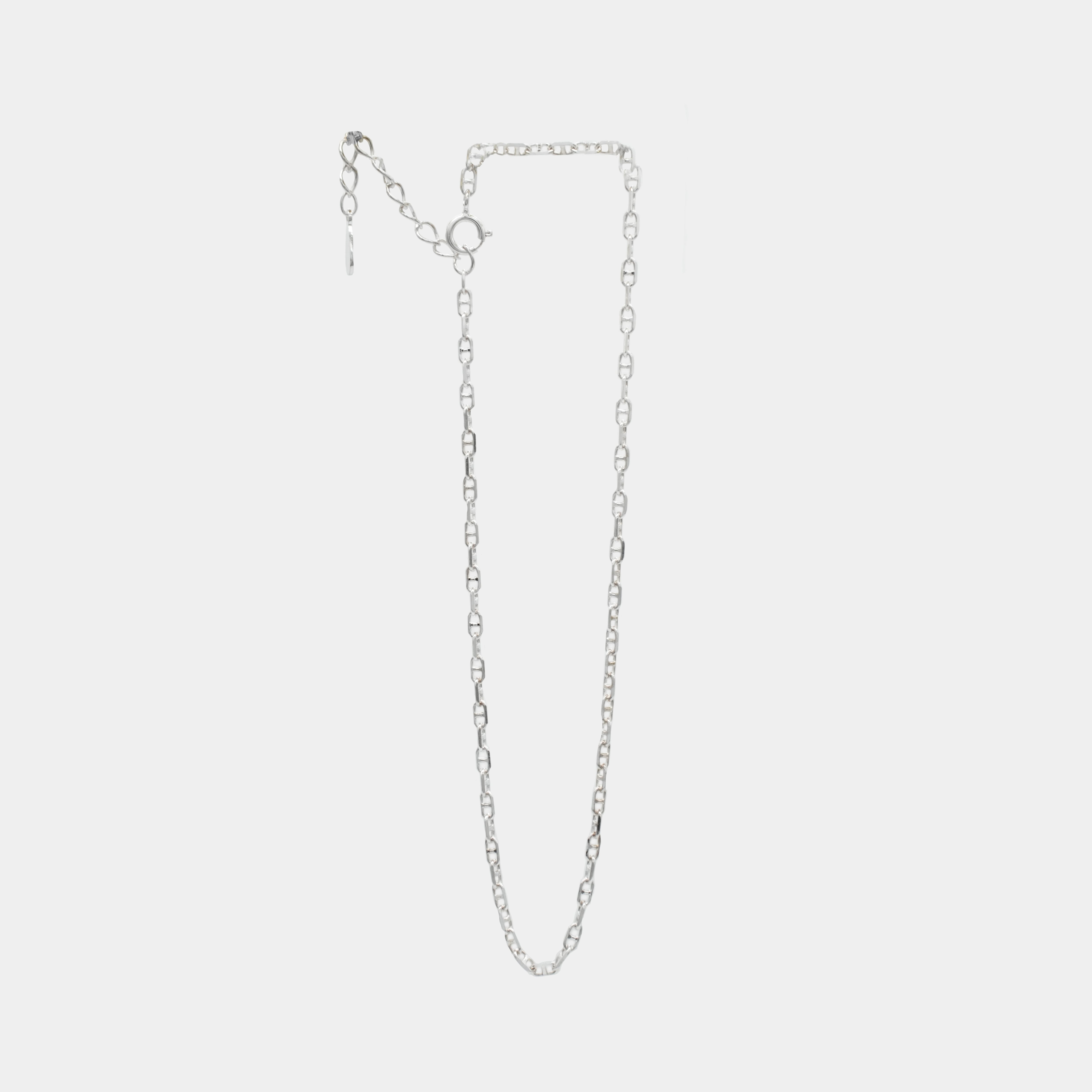 Horse anklet